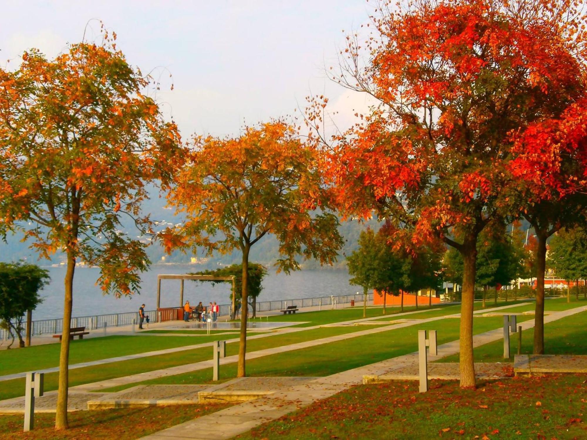 Lago Maggiore Holiday House, Lake View, Vignone Dumenza المظهر الخارجي الصورة