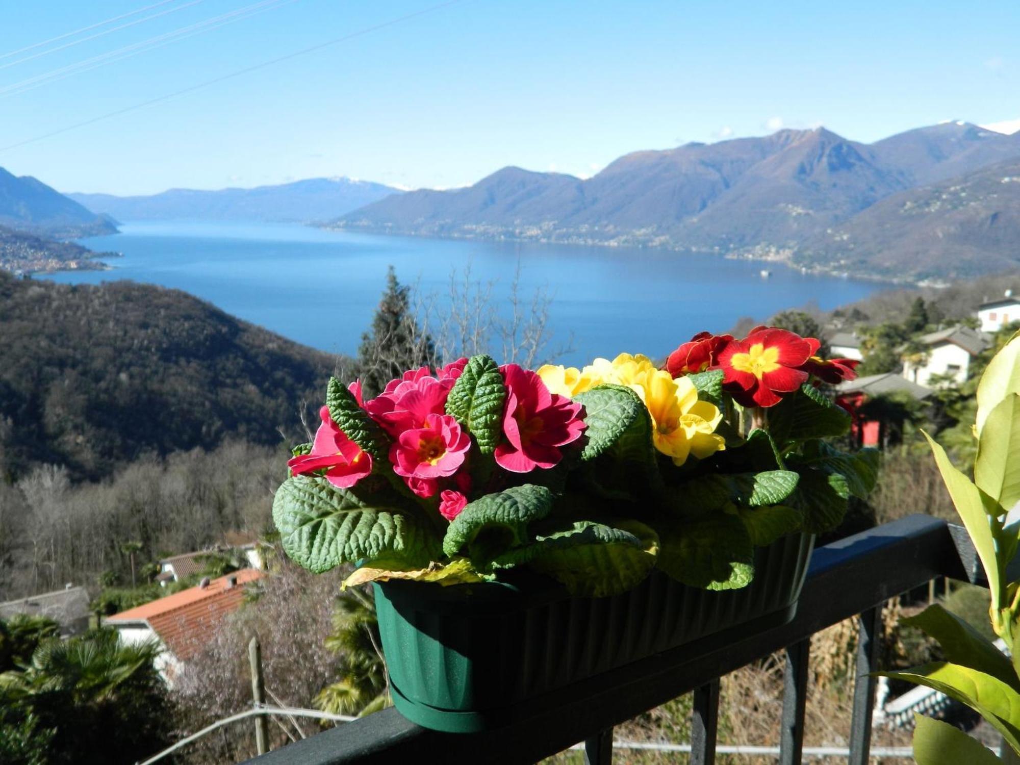 Lago Maggiore Holiday House, Lake View, Vignone Dumenza المظهر الخارجي الصورة